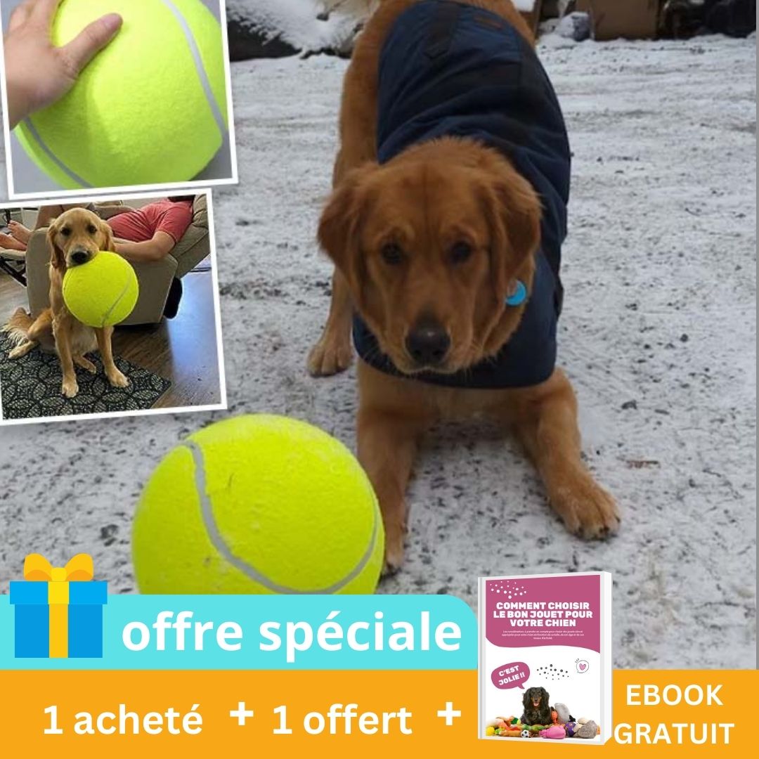 Bigballdog™ - Balle géante d'amusement pour chien