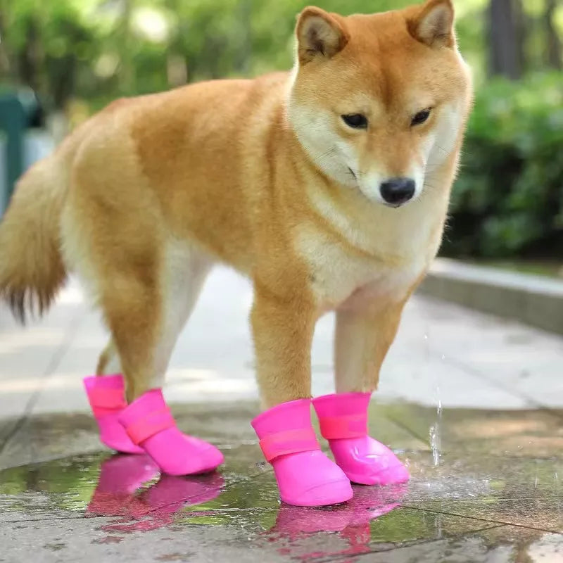 WaterBootDog™ - Bottes imperméables pour chien