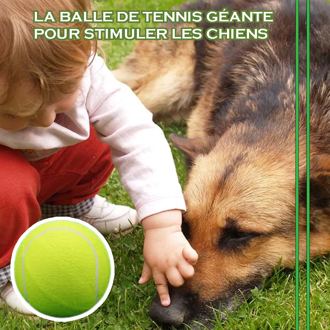 Bigballdog™ - Balle géante d'amusement pour chien